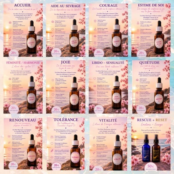 11 Elixirs floraux thématiques pour le quotidien