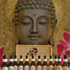 Elixirs floraux thématiques