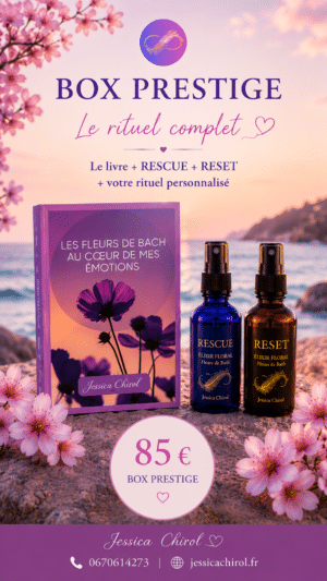 BOX PRESTIGE : L'essentiel énergétique et émotionnel accompagné de mon livre pour te guider dans l'exploration de tes émotions.