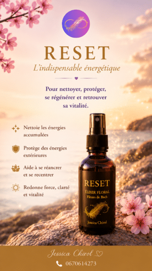 Reset : l'insdispensable énergétique