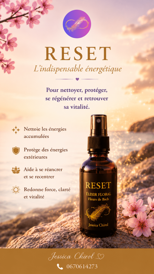 Reset : l'insdispensable énergétique